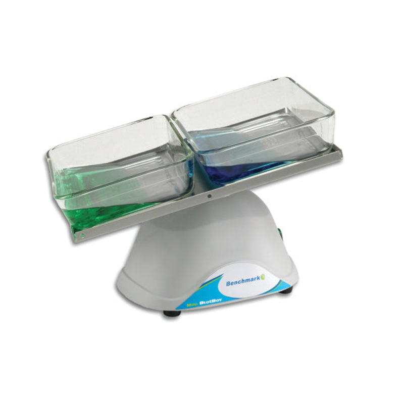 Benchmark Scientific Mini BlotBoy B3D1008 3D rocker with a tilted platform holding two clear trays of green and blue liquid.
